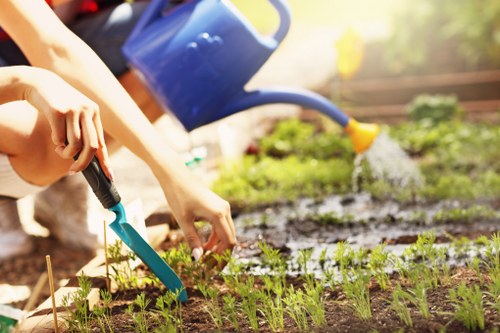 Gardener working on a Limehouse terrace garden