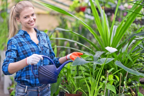 Gardening Limehouse crew beginning a garden maintenance task with safety measures