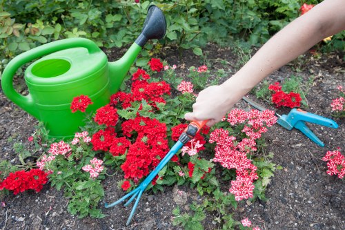 Electric van used for low-carbon garden waste collections in Limehouse