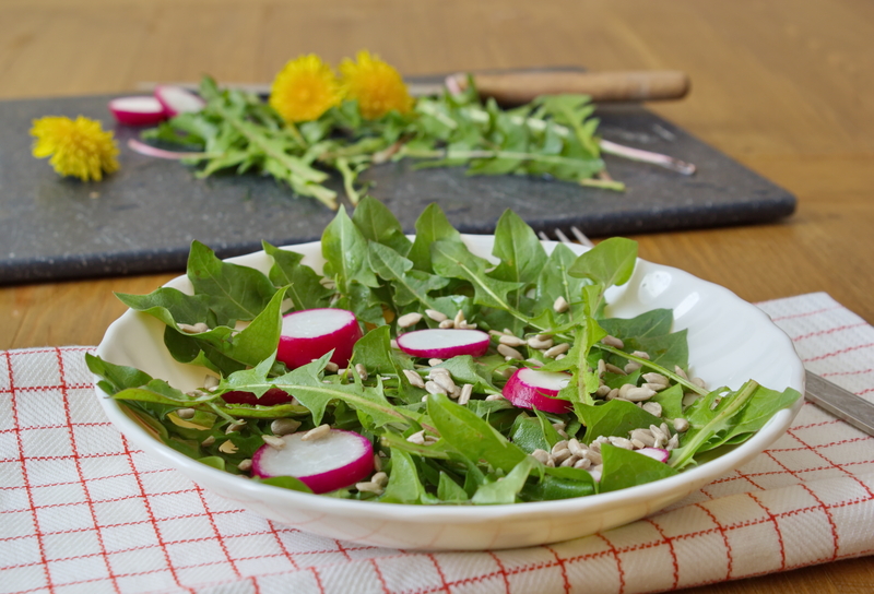 backyard outdoor space