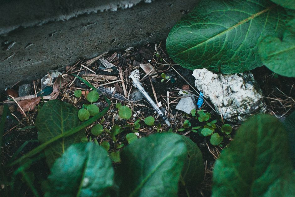 A black wheeled garden waste bin placed on a grassy lawn, overflowing with trimmed plant matter including dried grass, green leaves, and small branches. Surrounding the bin are various garden plants a